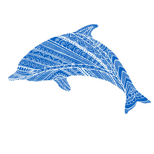 梦幻观赏海豚蓝色