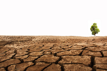 白色背景上的干旱土地照片