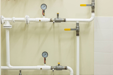 管住宅海葵图片