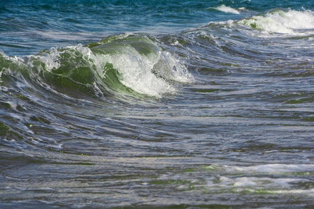 强烈的太阳图片