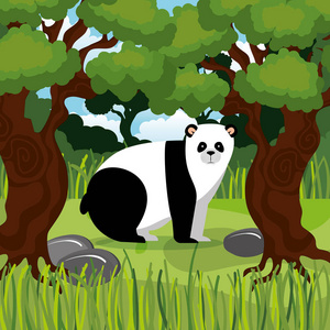 野生熊熊猫在丛林中的场景