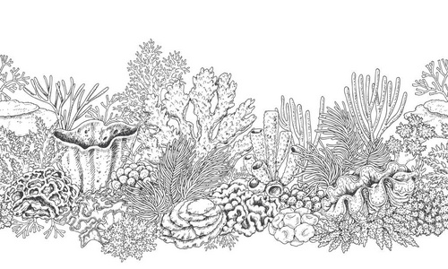 珊瑚礁 简笔画图片