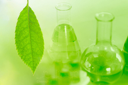绿色天然中草药提取物的化学科学与生物技术背景研究照片