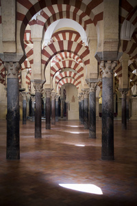 安大路西亚的科尔多瓦清真寺大教堂的内部