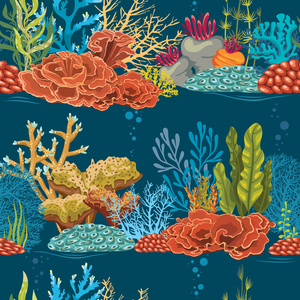 水下无缝模式与珊瑚礁