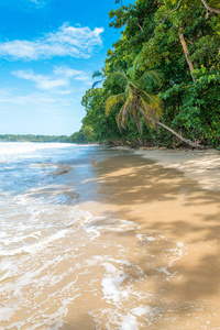 CahuitaNationalpark 与美丽的海滩和雨林在哥斯达黎加