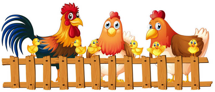 画篱笆的鸡和小鸡在篱笆后面照片
