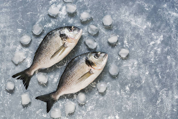 带冰块的灰色背景的新鲜金鱼鱼.顶部视图, 复制空间.市场广告