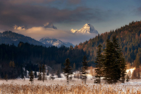 韦特施泰因在冬季早晨欣赏山景。多云的天空和冰冻的森林靠近美丽的湖泊。巴伐利亚阿尔卑斯山, 巴伐利亚, 德国