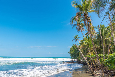 海滩 Negra 海滩在 Cahuita, 利蒙哥斯达黎加热带和天堂海滩