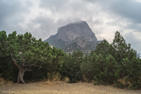 新光的杜松和山景色图片