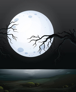 可怕的黑夜场景照片