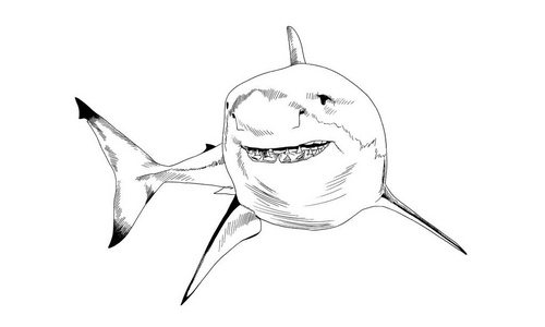 大白鲨鲨鱼下巴可爱的鲨鱼卡通鲨鱼头卡通鲨鱼鲨鱼卡通为您设计可爱的