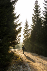 女人走在一条山路，阳光照耀下的徒步旅行者