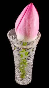 粉红色的荷花，睡莲在透明的花瓶里，关闭
