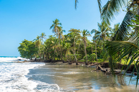 海滩 Negra 海滩在 Cahuita, 利蒙, 哥斯达黎加