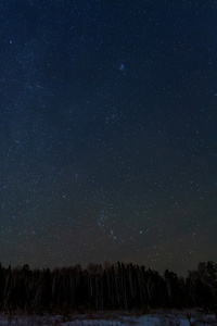 天空星森林全景