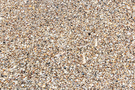 贝壳在海滩上，背景纹理