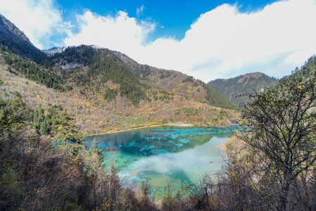 中国2014 年 11 月 5 日，四川 旅游参观九寨沟风景名胜区九寨沟，四川，中国