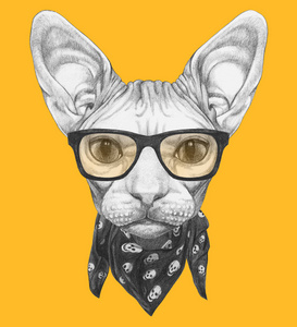 漂亮的素描肖像 Sphynx 猫在时髦的眼镜和头巾与头骨