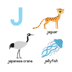 可爱的动物动物园字母表。字母 J 捷豹 水母 日本起重机