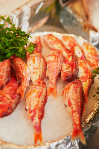 法国巴黎的农民市场上的鲜鱼。典型欧洲鱼市场