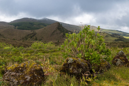 新的绿色自然在圣米格尔岛, 亚速尔群岛群岛之一。阴雨云。背景山