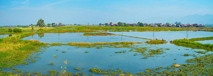 莲花农场全景, 位于 Inpawkhon 村的茵莱湖湖, 毗邻纺织作坊, 用莲花厂为纱线生产, 缅甸