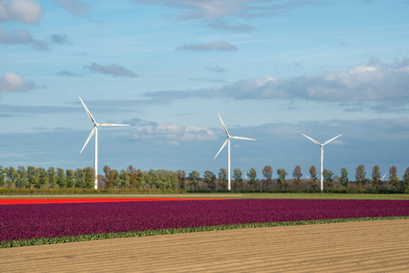 球场上的风车照片