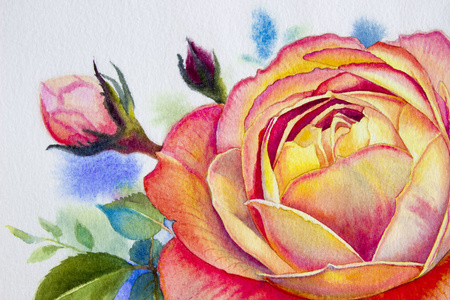 橙粉红色玫瑰花。水彩画原创的玫瑰和绿叶在春天的纸白色背景。原创绘画邀请, 情人节贺卡, 经典风格