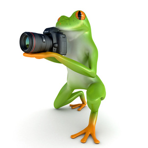 雨蛙照片图片