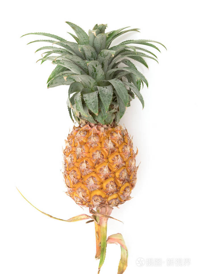 菠萝果在白色成熟