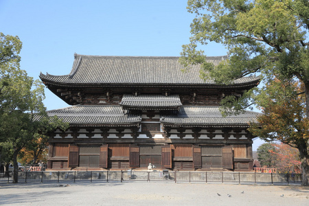 龙安寺图片
