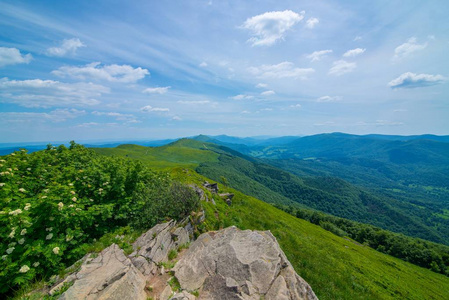 美丽的 Polonina Wetlinska 山小径在波兰 Bieszczady 山脉