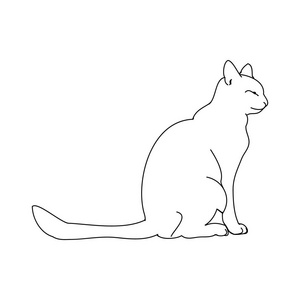 白色背景向量的猫轮廓照片