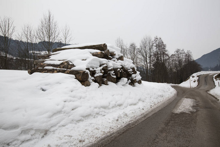 道路上覆盖着积雪的原木