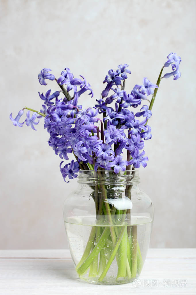 在一个中性背景的木桌上有水的花瓶里的风信子的美丽花束