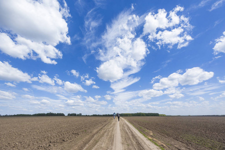 乡间小路经过犁耕的田野和蓝天。俄国风景