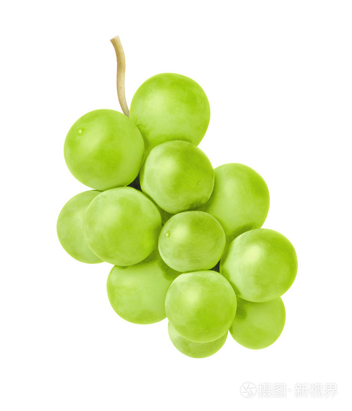 在白色背景上的葡萄σταφυλινσελευκφντο