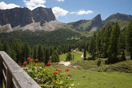 步行小径通过草甸意大利阿尔卑斯山在背景