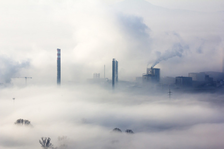 在雾中的秋天风景