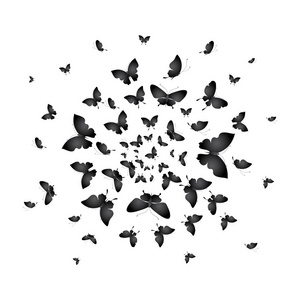 在白色背景, 矢量, 插图上, 以花的形式飞黑蝴蝶