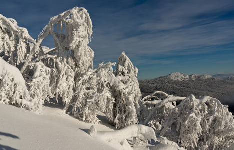 冷冻的树木和山