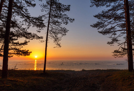 波罗的海早早晨日出在海