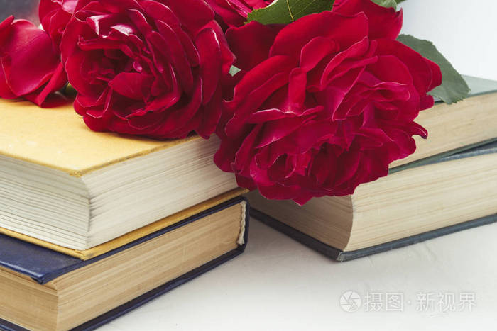 一束红色的玫瑰花, 放在一堆书上, 放在轻石背景上.