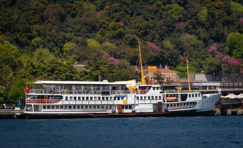 土耳其伊斯坦布尔, 在里海海峡渡轮