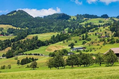 Schwyz 瑞士小行政区的夏日美景。这幅画是在 Schwyz 镇地区的琼结束时拍摄的。