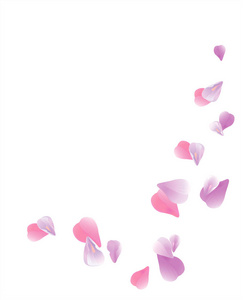 紫罗兰色粉红色飞行的花瓣分离在白色背景上。樱花玫瑰花瓣。矢量
