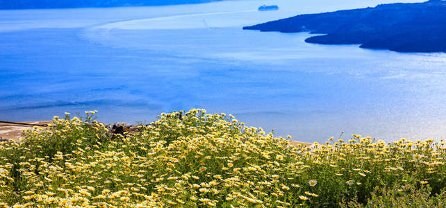 花为背景，Nea Kameni希腊圣托里尼