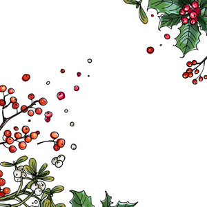 圣诞装饰, 植物线绘制白色背景。浆果和树叶的草图。冬季浆果, 槲寄生, 冬青